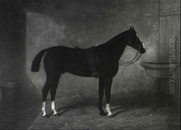 Horse In Stable - view 1