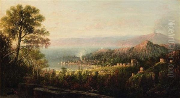 Mount Vesuvius And The Bay Of Naples - view 1