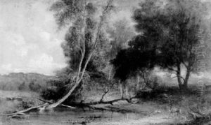 Study From Nature, White Mountains