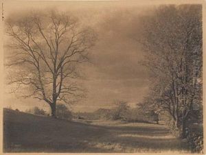 Evening In Spring by Allen Frances & Mary