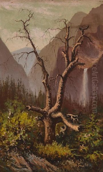 Tree Near Bridal Veil Falls, Tree In Yosemite Valley (a Pair) Each - view 1