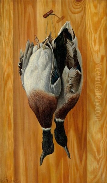 Mallard Ducks Of Montana - view 1