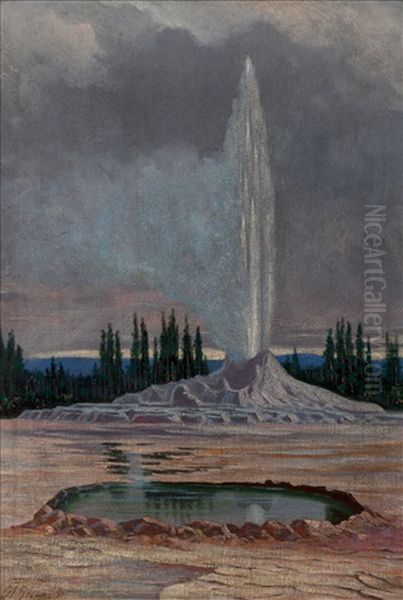 Castle Geyser, Yellowstone National Park - view 1