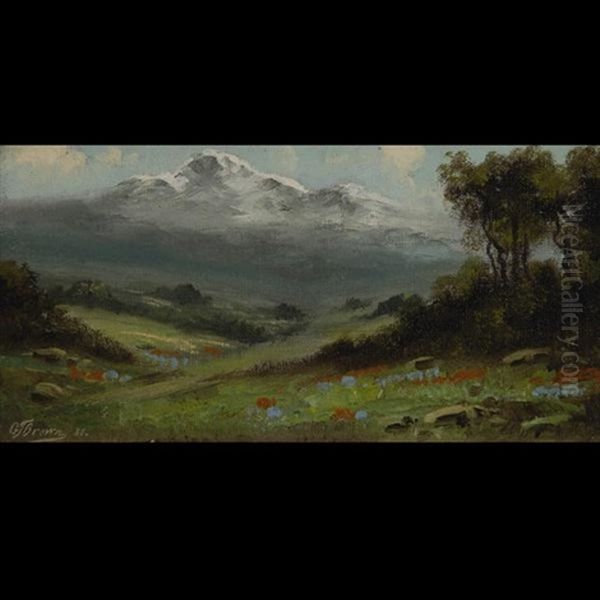 Spring Landscape - view 1
