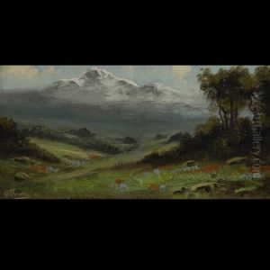 Spring Landscape Spring Landscape