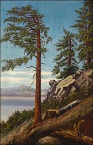 Tahoe Landscape by Grafton Tyler Brown