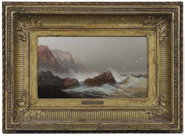 West Quoddy Head, Maine - view 1