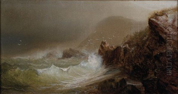 Maine Coast - view 1