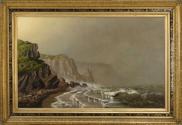 The Coast Of Grand Manan - view 1