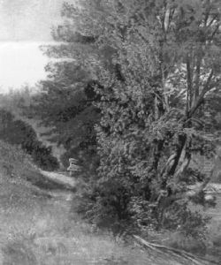 Artist's Brook Trail, No. Conway, New Hampshire by Harrison Bird Brown