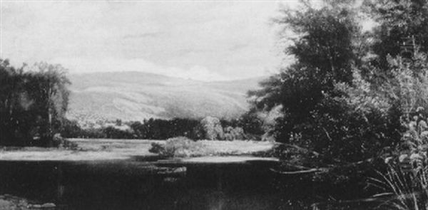 Sunlight On The Summer Hills - view 1