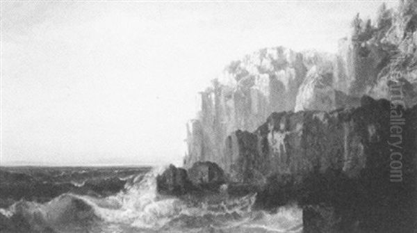 The Maine Coast - view 1