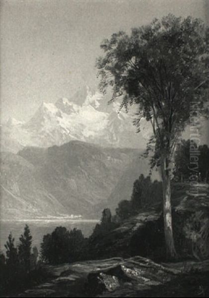 European Landscape - view 1