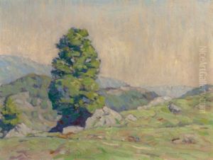 Hilly Landscape With Tree And Rocks (manchester, Vermont)