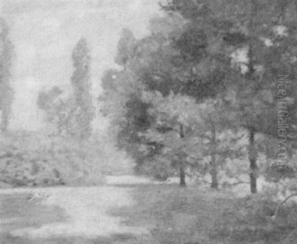 Summer Landscape - view 1