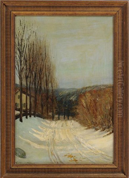 A Snowy Road - view 1