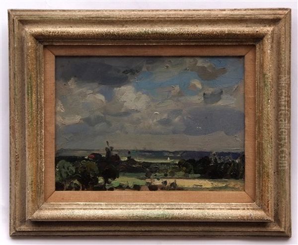 Norfolk Landscape - view 1
