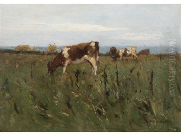Cattle Grazing Before The Coast - view 1