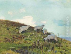 Grazing Sheep Grazing Sheep
