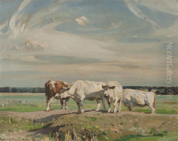 Cattle Resting - view 1