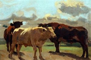 Cattle In Open Landscape
