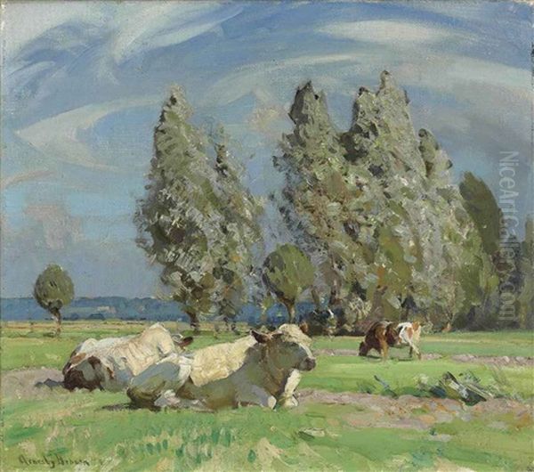 Cattle Resting - view 1