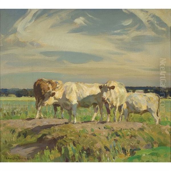 Cattle Resting - view 1