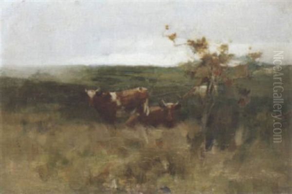 Cows In A Field - view 1