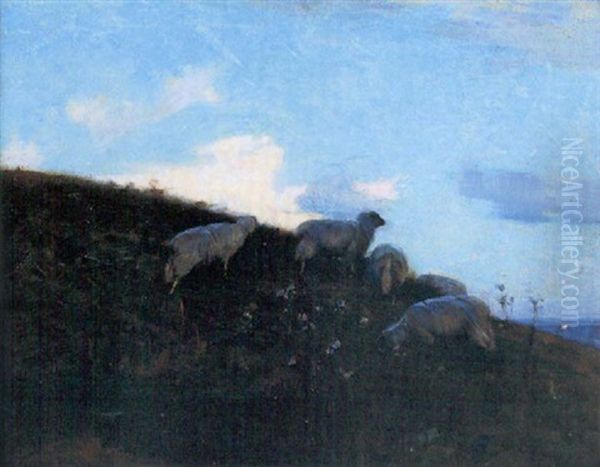 Sheep Grazing - view 1