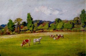 Cattle Grazing Cattle Grazing