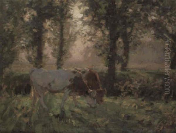 Norfolk Landscape - view 1