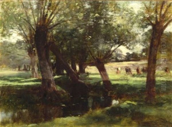 Brook In Summer - view 1