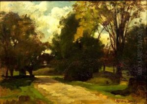 Tree-lined Road