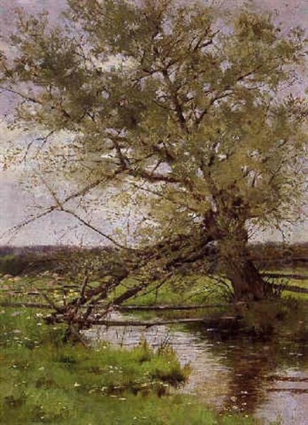 Cherry Tree - view 1