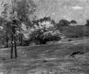 May Pastures May Pastures