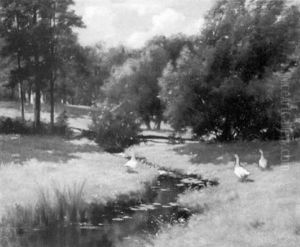 Meadow Brook With Geese by John Appleton Brown
