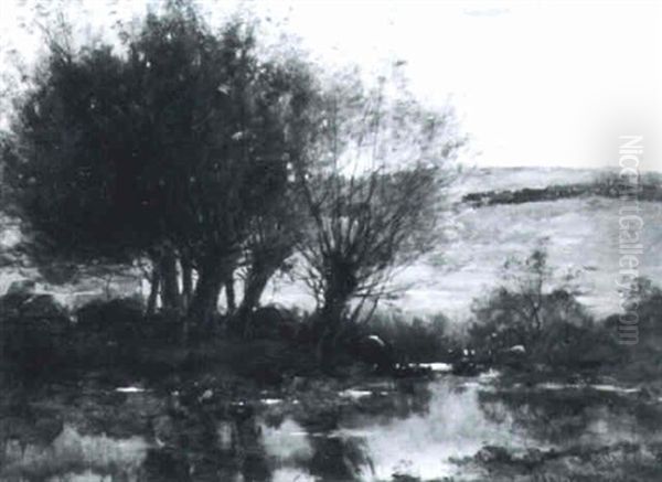 Field And Stream - view 1