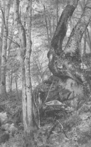 In The Maine Woods by John George Brown