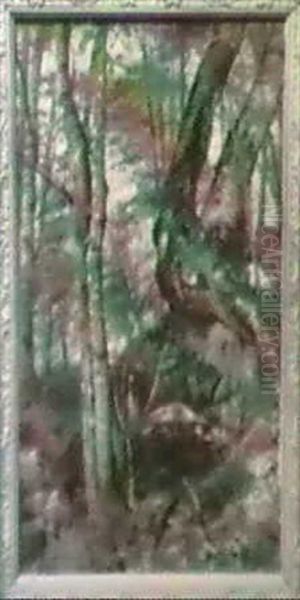 Forest Interior - view 1