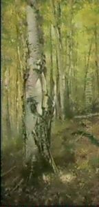 Siver Birches Siver Birches