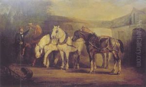Les Chevaux Atteles Les Chevaux Atteles