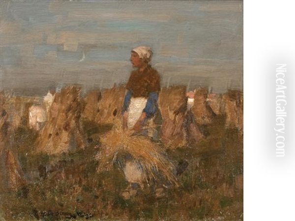Harvesting - view 1