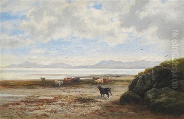Scottish Coastal Scene With Cows - view 1