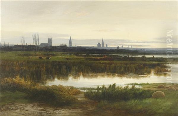 Dawn Breaking Across The Meadow - view 1