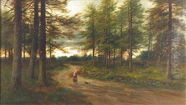 The Forest Road, Glen Lednock, Perthshire - view 1