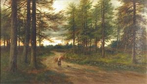 The Forest Road, Glen Lednock, Perthshire