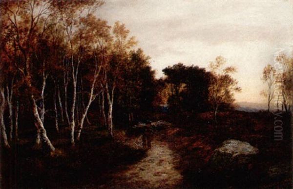 The Birch Wood, Autumn Evening - view 1
