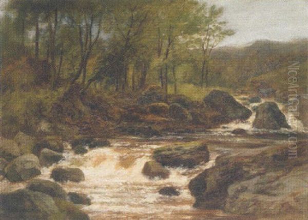 On Ben Ledi Burn - view 1