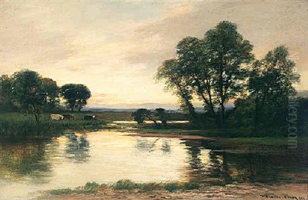 On The River Tay, Perthshire - view 1