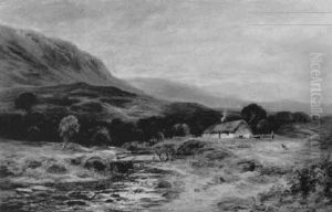 Aberfoyle Glen